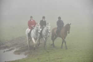 1772030121_1772030121_dsc8134