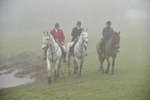 1772030124_1772030124_dsc8135