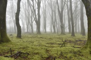 1772030135_1772030135_dsc8138