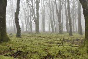 1772030138_1772030138_dsc8139