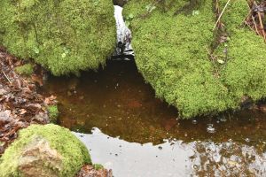 1772030143_1772030143_dsc8140