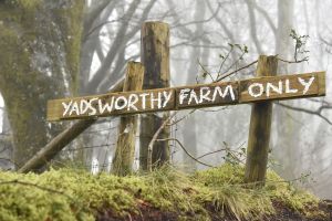 1772030162_1772030162_dsc8144