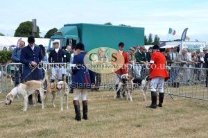 1771330642_1771330642_dunster-country-fair-2016-006