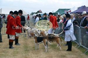 1771330645_1771330645_dunster-country-fair-2016-008