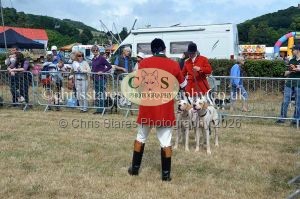 1771330650_1771330650_dunster-country-fair-2016-012