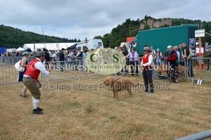 1771330653_1771330653_dunster-country-fair-2016-014
