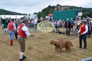 1771330655_1771330655_dunster-country-fair-2016-016