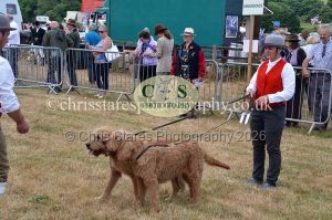 1771330656_1771330656_dunster-country-fair-2016-017