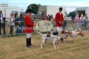 1771330660_1771330660_dunster-country-fair-2016-020