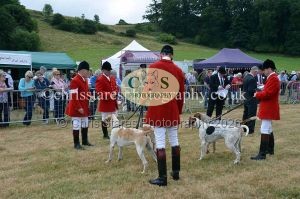 1771330663_1771330663_dunster-country-fair-2016-022