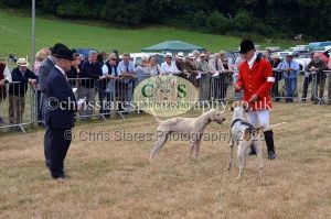 1771330668_1771330668_dunster-country-fair-2016-026
