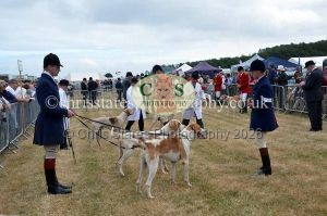 1771330672_1771330672_dunster-country-fair-2016-029