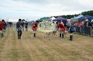 1771330673_1771330673_dunster-country-fair-2016-030