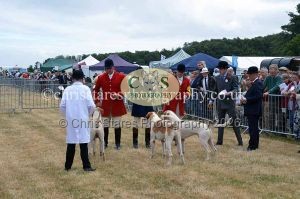 1771330674_1771330674_dunster-country-fair-2016-031