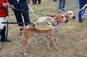 1771330676_1771330676_dunster-country-fair-2016-032