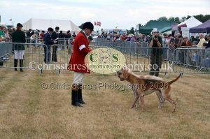 1771330679_1771330679_dunster-country-fair-2016-035