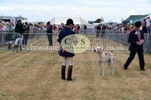 1771330681_1771330681_dunster-country-fair-2016-036