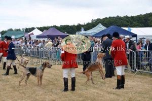 1771330687_1771330687_dunster-country-fair-2016-041