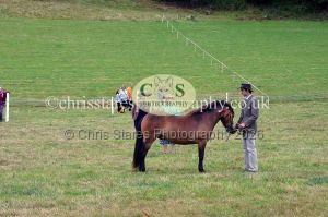 1771330691_1771330691_dunster-country-fair-2016-044