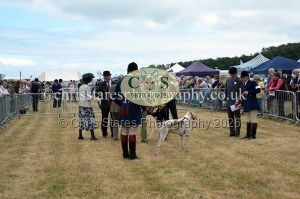 1771330692_1771330692_dunster-country-fair-2016-045