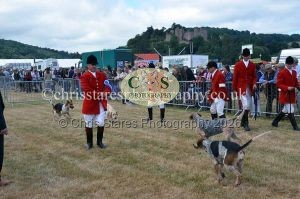 1771330696_1771330696_dunster-country-fair-2016-048