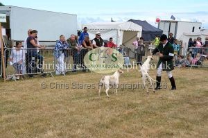 1771330699_1771330699_dunster-country-fair-2016-050