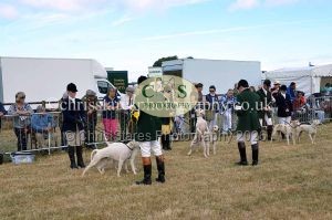 1771330707_1771330707_dunster-country-fair-2016-056