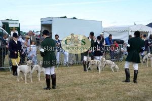 1771330709_1771330709_dunster-country-fair-2016-058