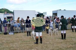 1771330712_1771330712_dunster-country-fair-2016-060
