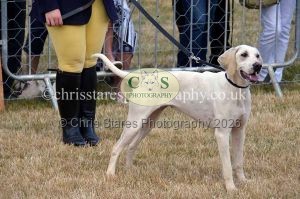 1771330716_1771330716_dunster-country-fair-2016-063