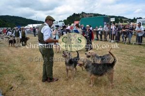 1771330722_1771330722_dunster-country-fair-2016-068