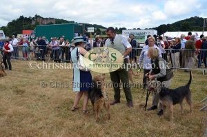 1771330723_1771330723_dunster-country-fair-2016-069