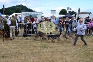 1771330726_1771330726_dunster-country-fair-2016-071
