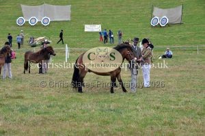 1771330727_1771330727_dunster-country-fair-2016-072