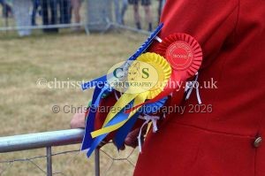 1771330735_1771330735_dunster-country-fair-2016-078