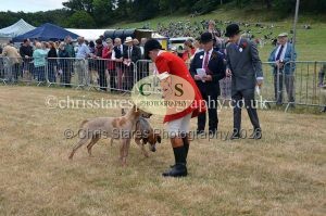 1771330736_1771330736_dunster-country-fair-2016-079