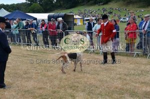 1771330739_1771330739_dunster-country-fair-2016-081