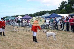 1771330740_1771330740_dunster-country-fair-2016-082