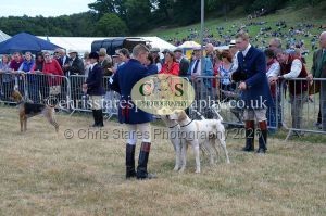 1771330745_1771330745_dunster-country-fair-2016-086