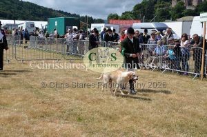 1771330749_1771330749_dunster-country-fair-2016-089