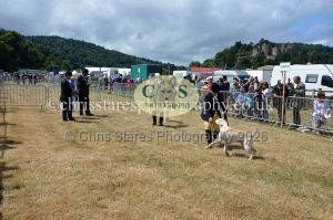 1771330751_1771330751_dunster-country-fair-2016-090