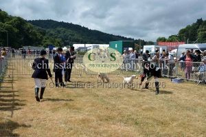 1771330753_1771330753_dunster-country-fair-2016-092