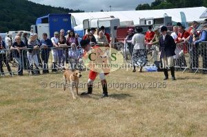 1771330754_1771330754_dunster-country-fair-2016-093
