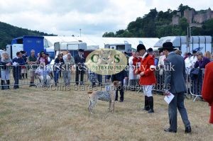 1771330757_1771330757_dunster-country-fair-2016-095