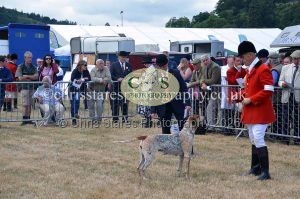 1771330758_1771330758_dunster-country-fair-2016-096