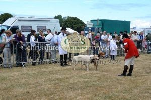 1771330761_1771330761_dunster-country-fair-2016-098
