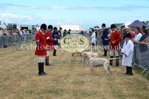 1771330767_1771330767_dunster-country-fair-2016-102
