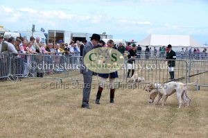 1771330768_1771330768_dunster-country-fair-2016-103