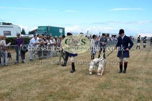 1771330769_1771330769_dunster-country-fair-2016-104