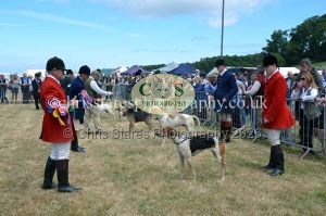 1771330773_1771330773_dunster-country-fair-2016-107